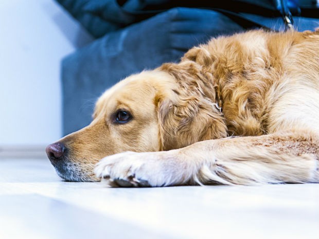 foto_divulgacao_1_-_recortada