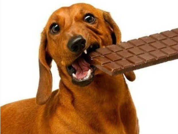 imagem_release_609230_-_recortada