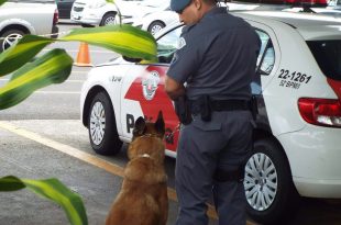 8d67be95-ffcd-4509-94f5-88970c60269f novo