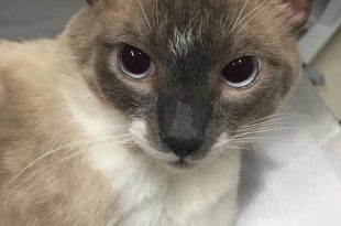 d7fdcbf6-f1a4-424d-beee-b6c4cfc21678