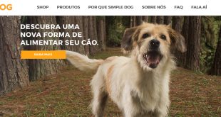simple-dog-e-commerce