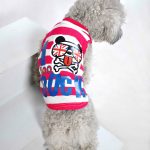 novo-2014-primavera-e-veratilde